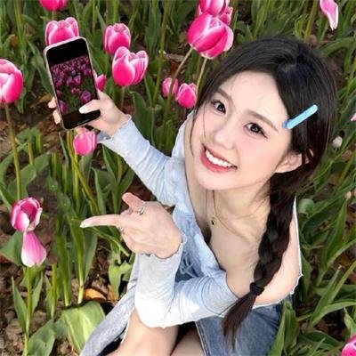 莲花闹海棠